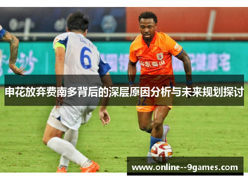 申花放弃费南多背后的深层原因分析与未来规划探讨